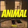 Admir Kola - Animal - Single